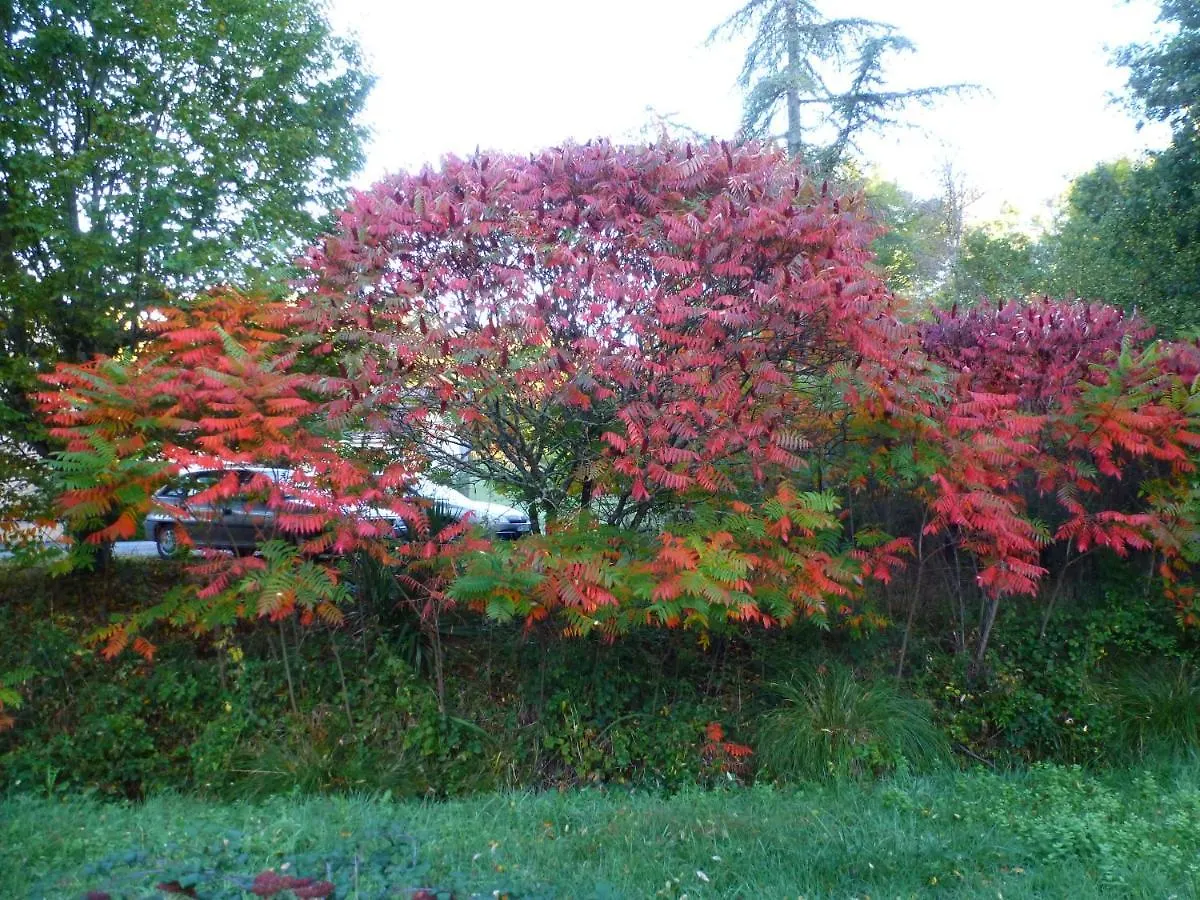 Gite La Petite Fagette Frayssinet-le-Gelat France